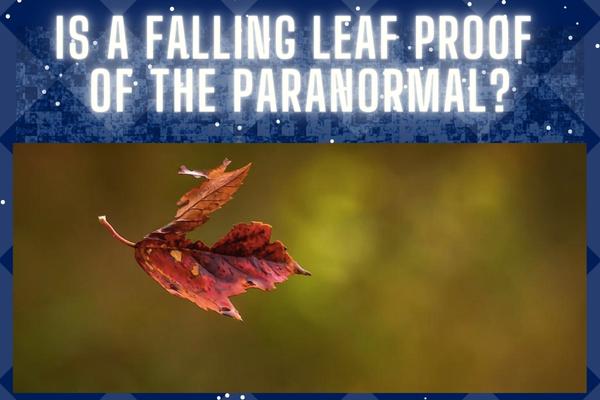 is a falling leaf proof of the paranormal, psychic ability, what is a caulbearer, what is the caul